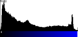 Blue Histogram