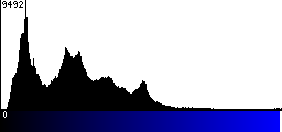 Blue Histogram