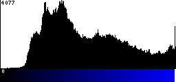 Blue Histogram