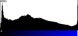 Blue Histogram