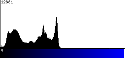 Blue Histogram