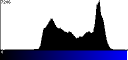 Blue Histogram