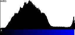 Blue Histogram