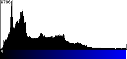 Blue Histogram