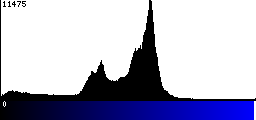 Blue Histogram