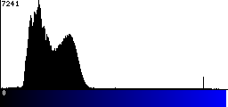 Blue Histogram