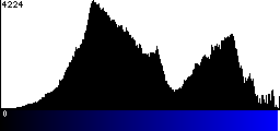 Blue Histogram