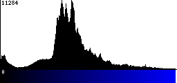 Blue Histogram