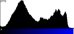 Blue Histogram