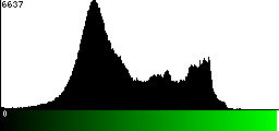 Green Histogram