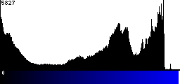 Blue Histogram