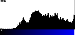 Blue Histogram
