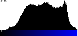 Blue Histogram