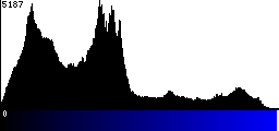 Blue Histogram