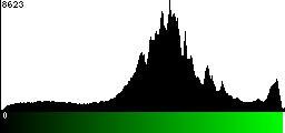 Green Histogram