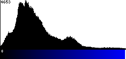 Blue Histogram