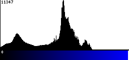 Blue Histogram