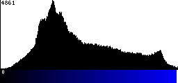 Blue Histogram