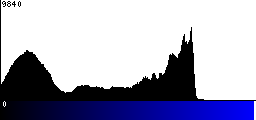 Blue Histogram