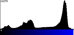 Blue Histogram