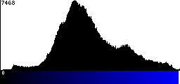 Blue Histogram