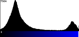 Blue Histogram