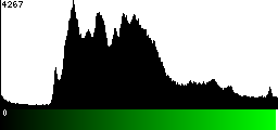Green Histogram