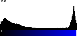 Blue Histogram