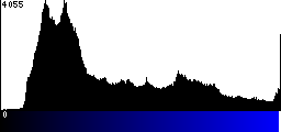 Blue Histogram