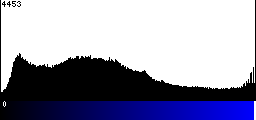 Blue Histogram