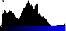 Blue Histogram