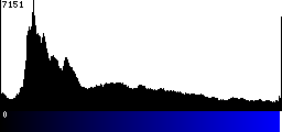 Blue Histogram