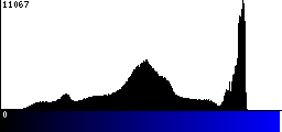 Blue Histogram