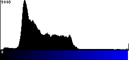 Blue Histogram