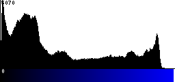 Blue Histogram