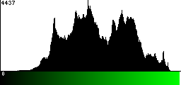 Green Histogram