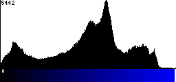 Blue Histogram