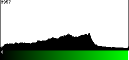 Green Histogram