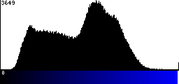 Blue Histogram