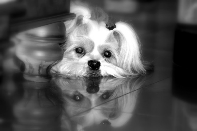 Hiding