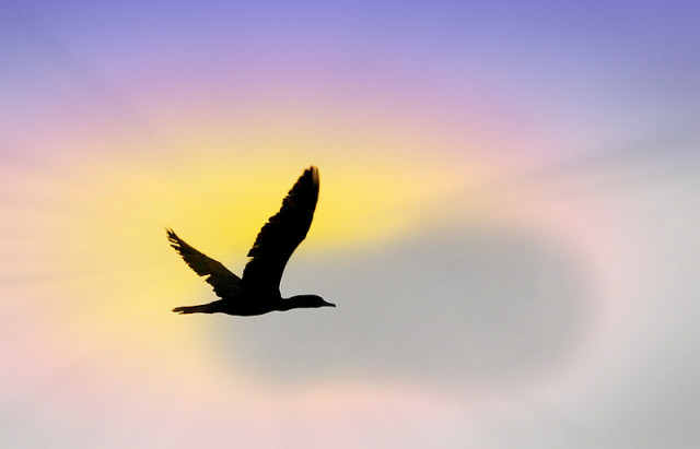 Beyond The Sky