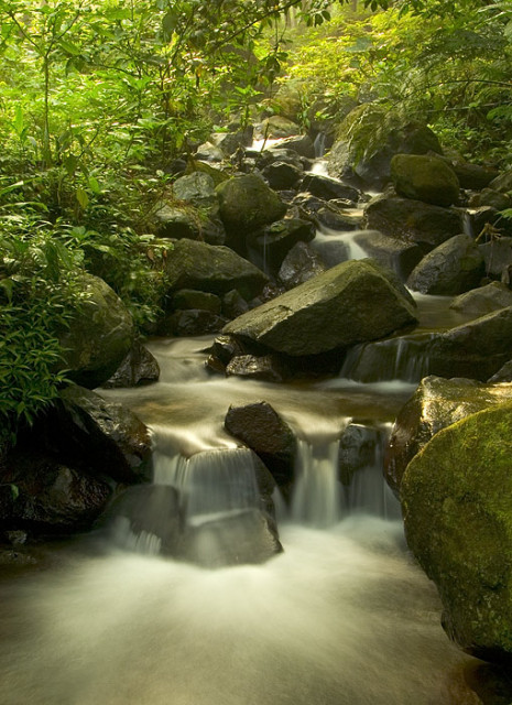 Water in Motion