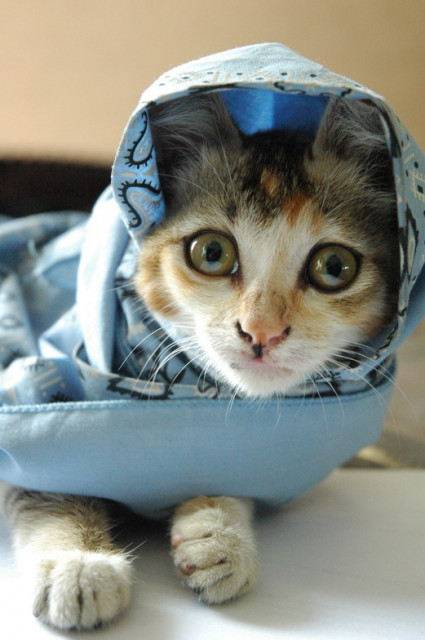 look at me...