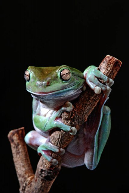 Ee .. ketemu lagi..!