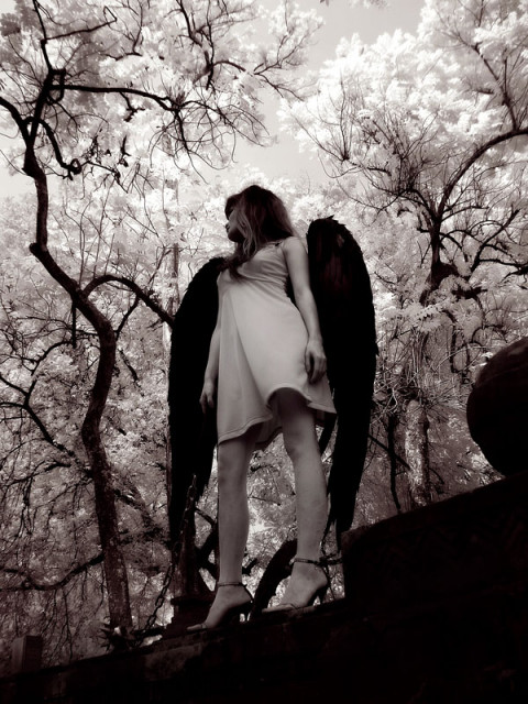 The Angel from the dark side