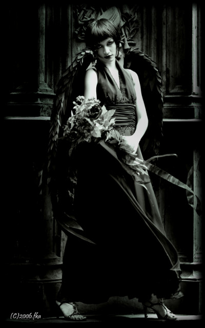 Angel #3