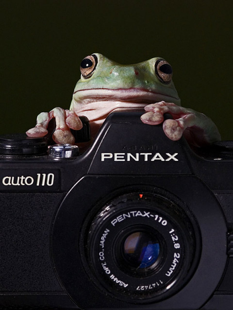 Gantian dong yang difoto...