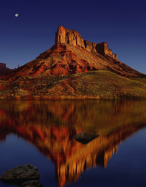 Nature Reflection