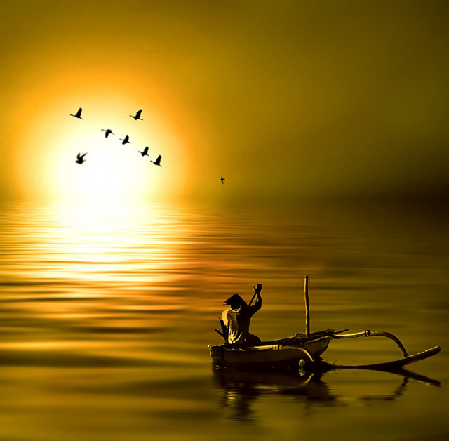 NEW DAY
