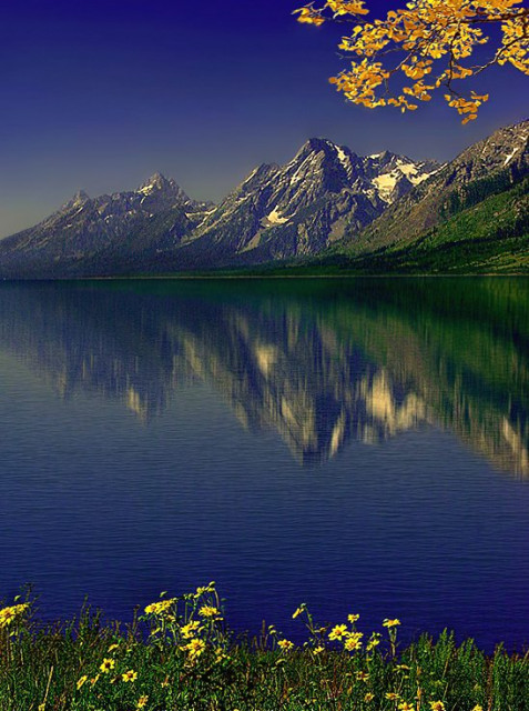 Morning Reflection